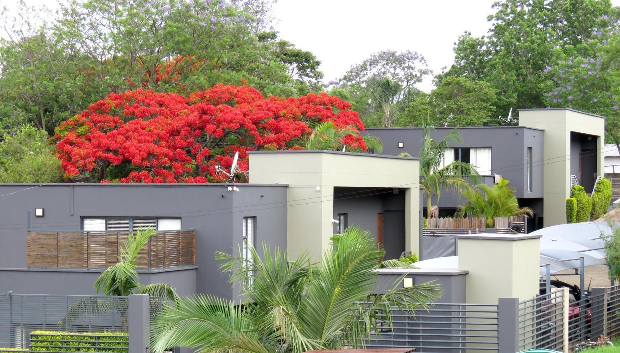 The Executive - Exclusive Self-Catering Apartments - Ezulwini Eksteriør billede